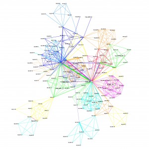Minus 40 Communities