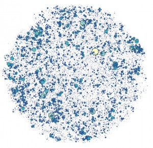 network_degree_colour